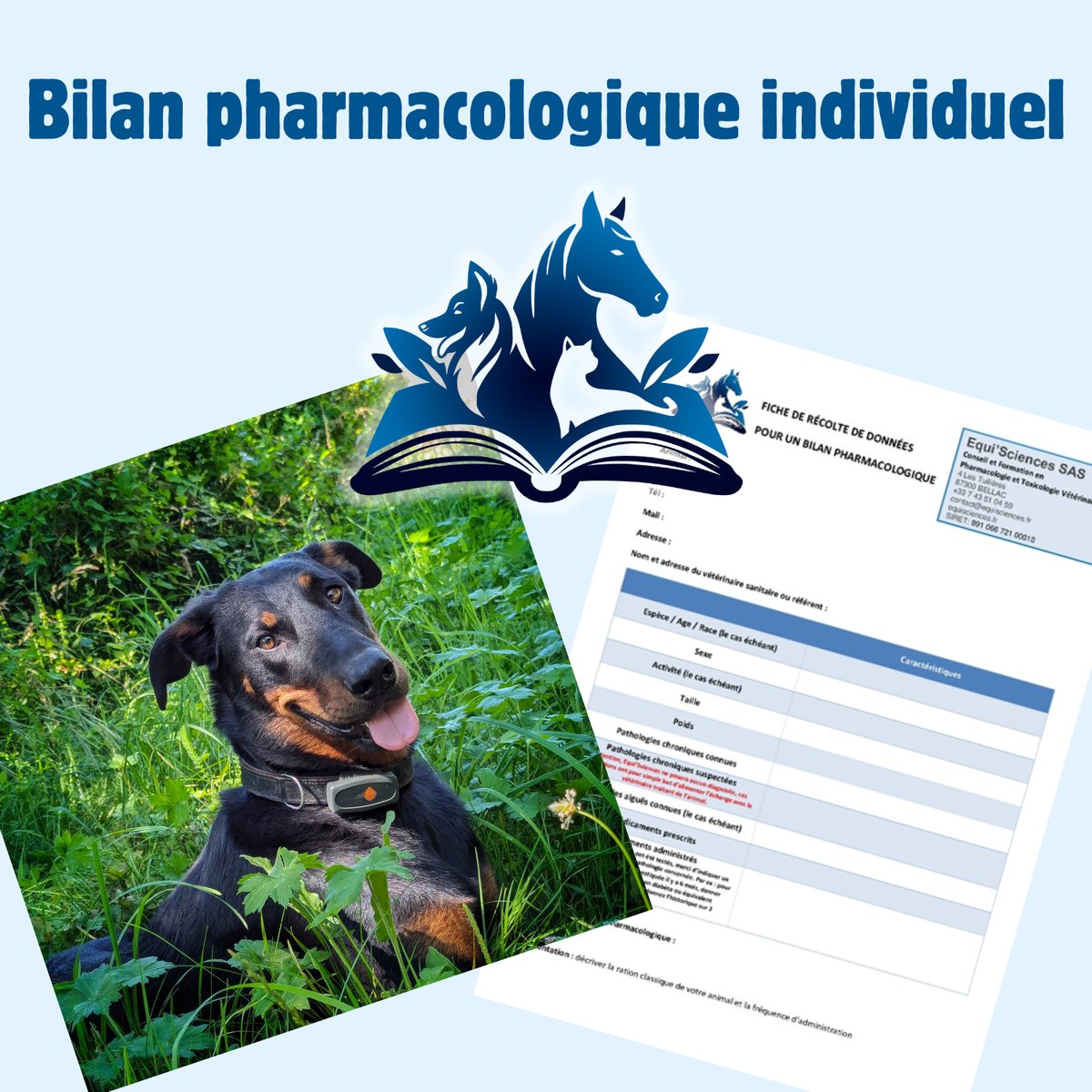 Suivi pharmacologique animaux individuel