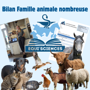 Bilan Famille animale nombreuse