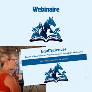 Webinaire