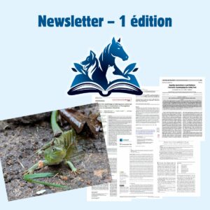 Newsletter – 1 édition