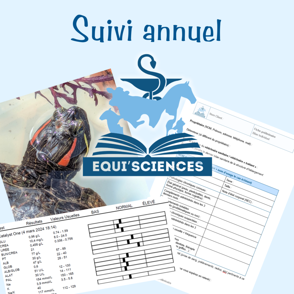 Suivi annuel