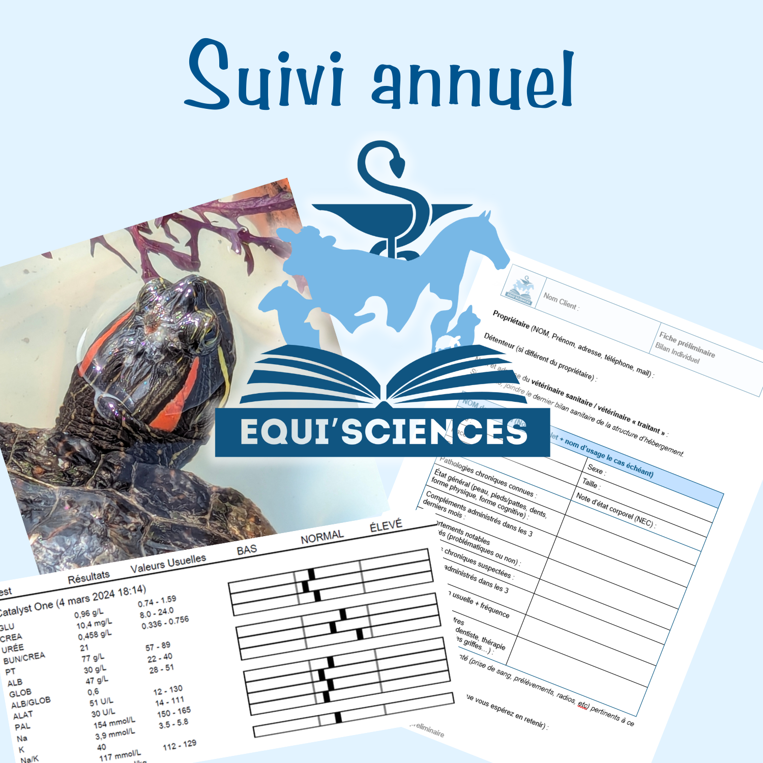 Suivi annuel – Image 1