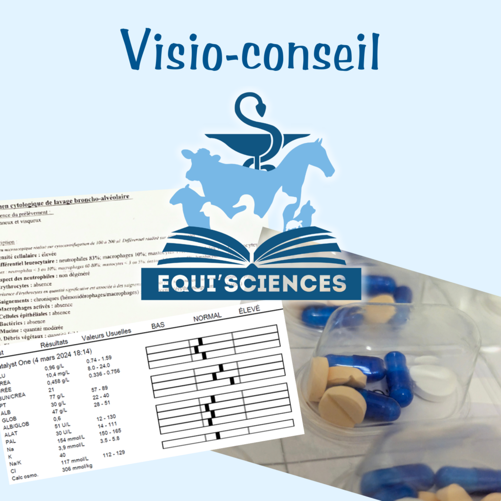 Visio-conseil