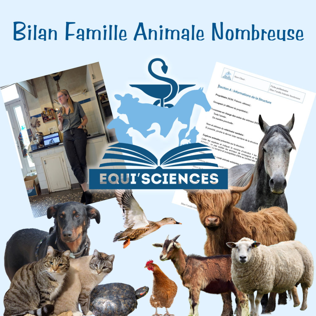 Bilan Famille Animale Nombreuse