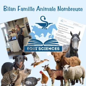 Bilan Famille Animale Nombreuse