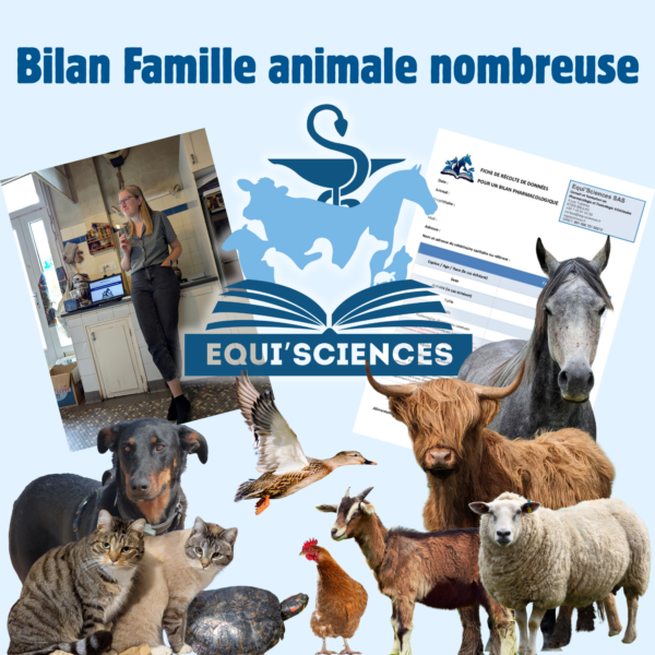 Bilan Vétérinaire Famille Animale Nombreuse