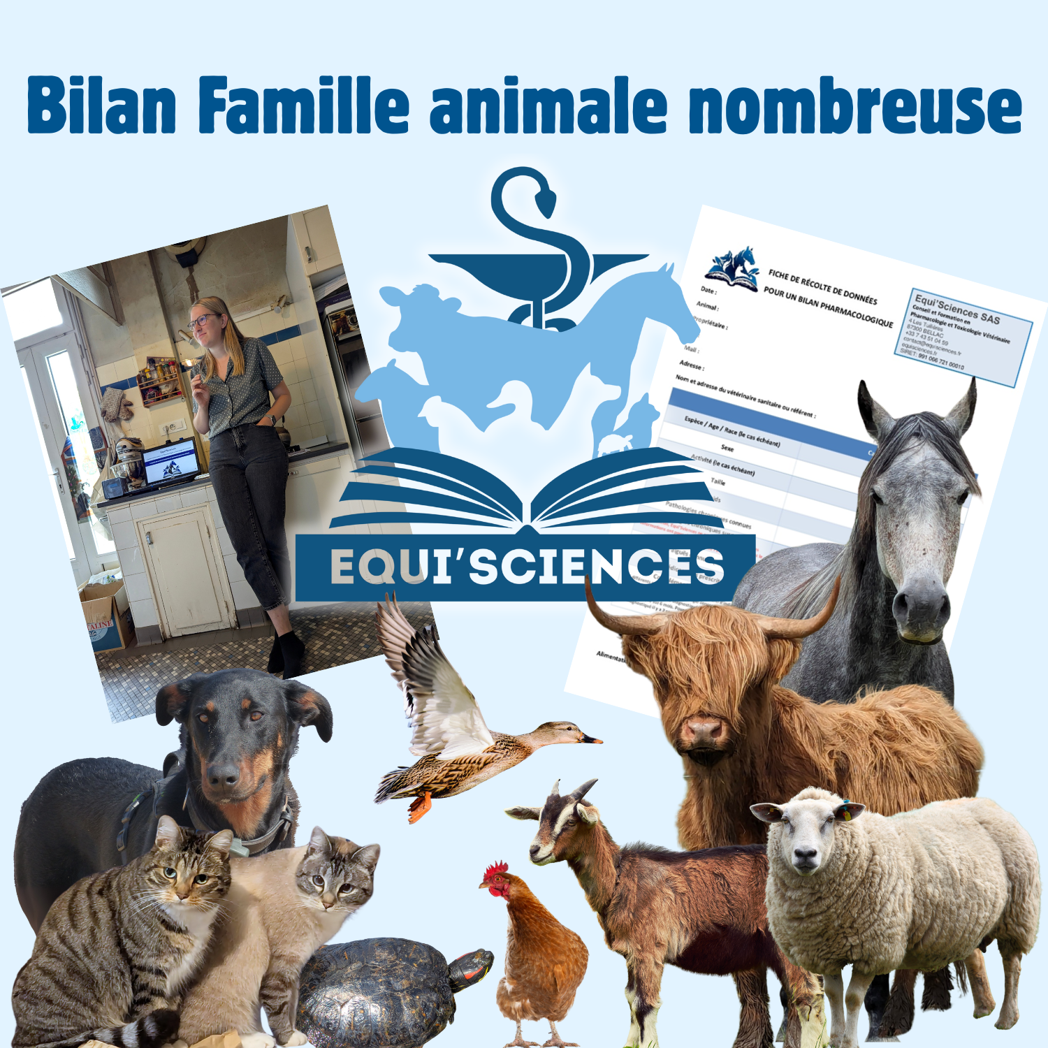 Bilan Vétérinaire Famille Animale Nombreuse