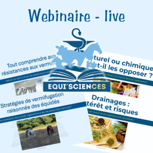 Webinaire - Place en live