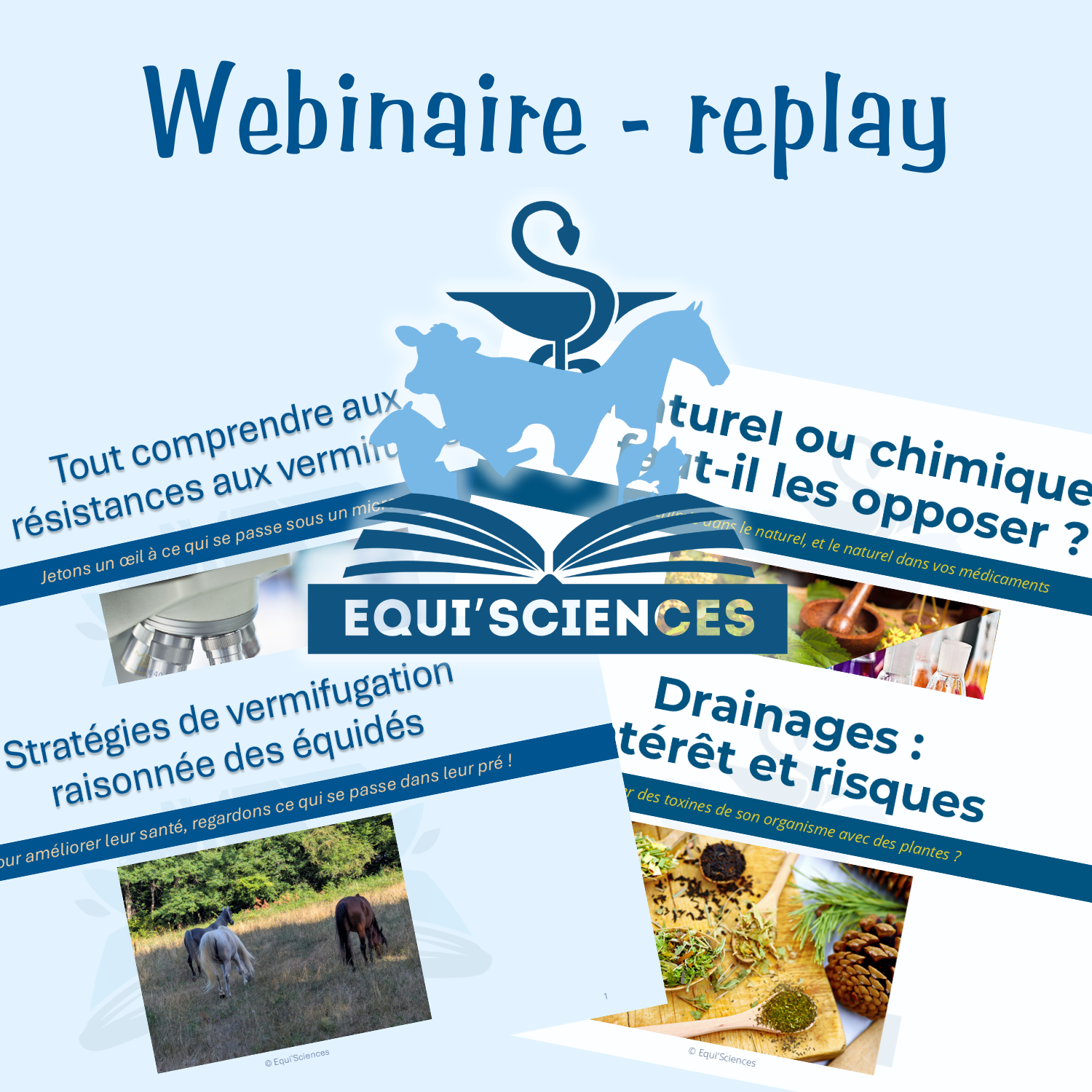 Webinaire - Replay – Image 1